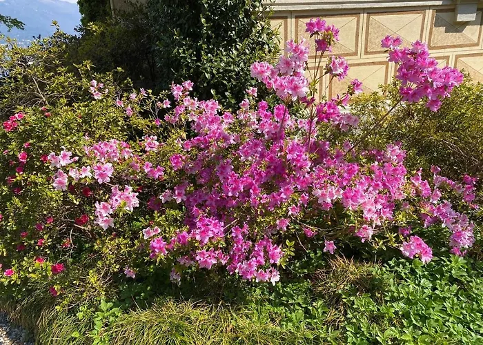 Holiday home Villino Tarlarini Laveno-Mombello